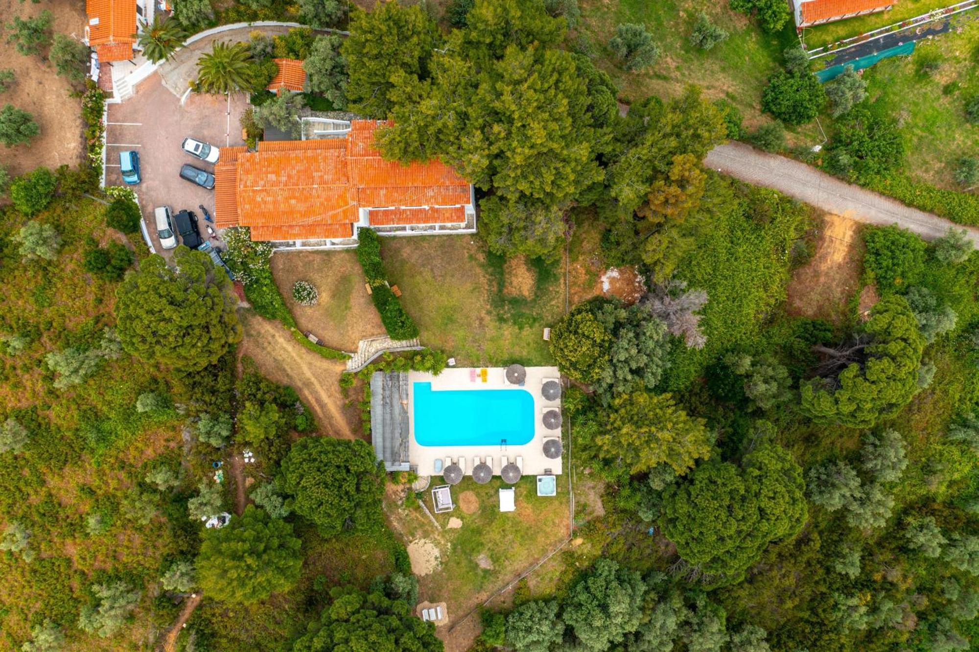 Daire Margi House İskados
